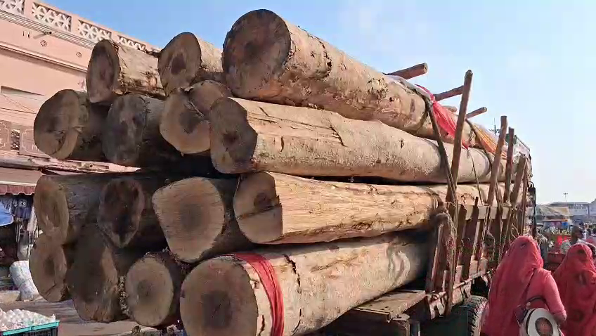 otvkhabar's tweet image. #ଫଟୋରେ_ଖବର
ପୁରୀରେ ପହଞ୍ଚିଲା ଦ୍ୱିତୀୟ ପର୍ଯ୍ୟାୟ ରଥକାଠ। ଗଞ୍ଜାମ ଭଞ୍ଜନଗରରୁ ୨୦ ଫୁଟିଆ ୧୫ ଖଣ୍ଡ ଧଉରା କାଠ ରଥଖଳାରେ ପହଞ୍ଚିଲା।
#RathaKatha #Puri #Ganjam #Odisha #OTV