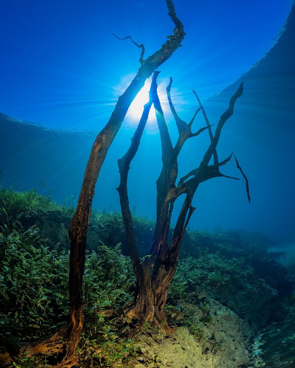 Visit Abruzzo tweet media