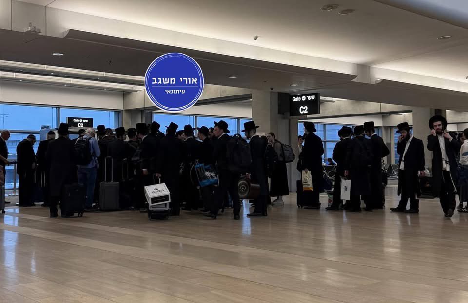 the little prince tweet media