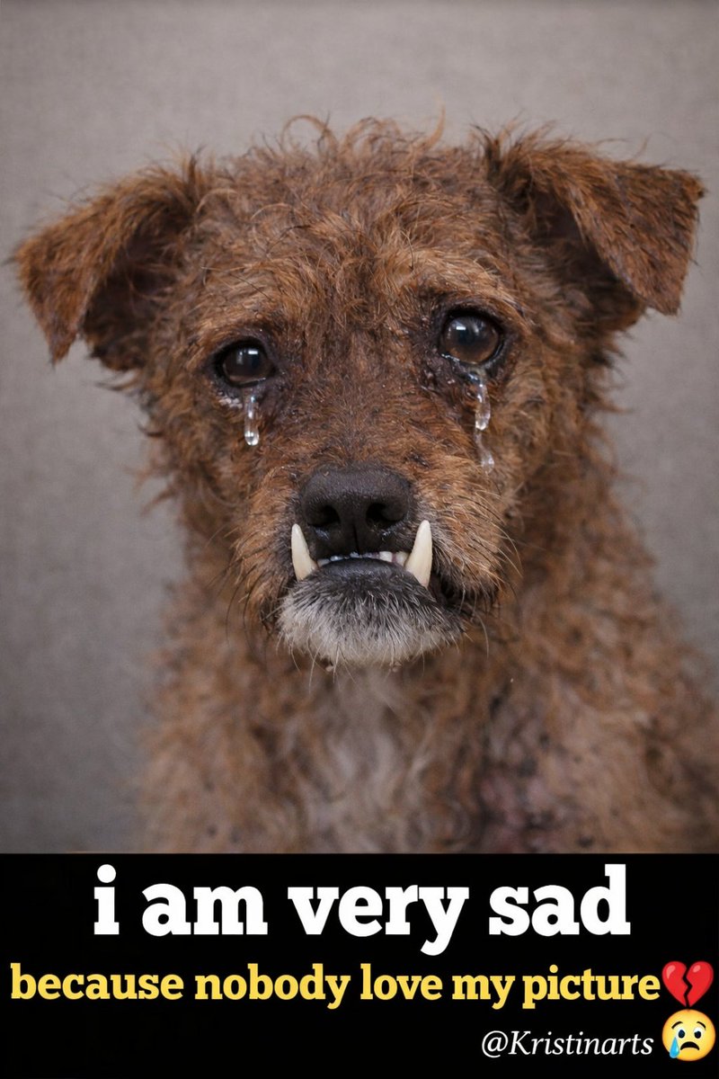 Kristina Bolten tweet media