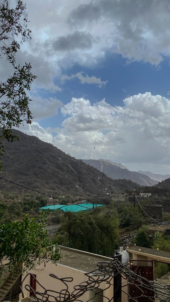 عُقاب tweet media