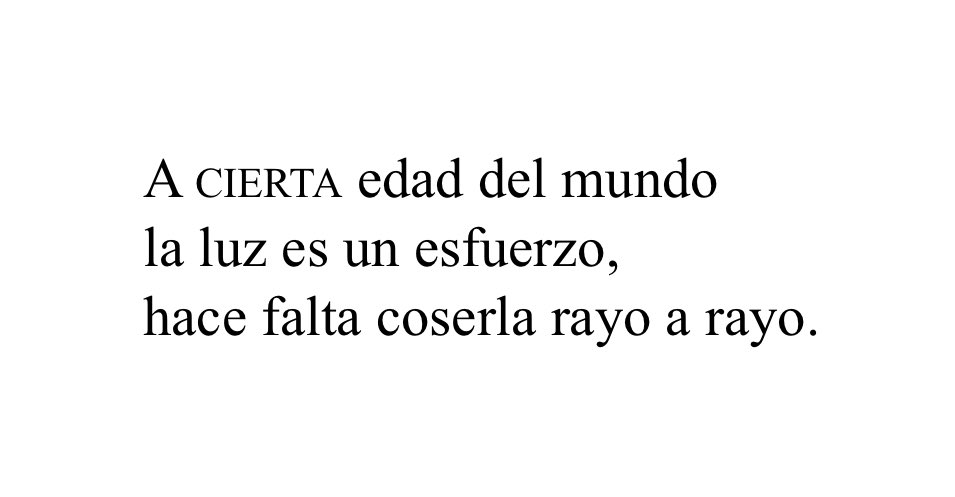 sarai portilla tweet media