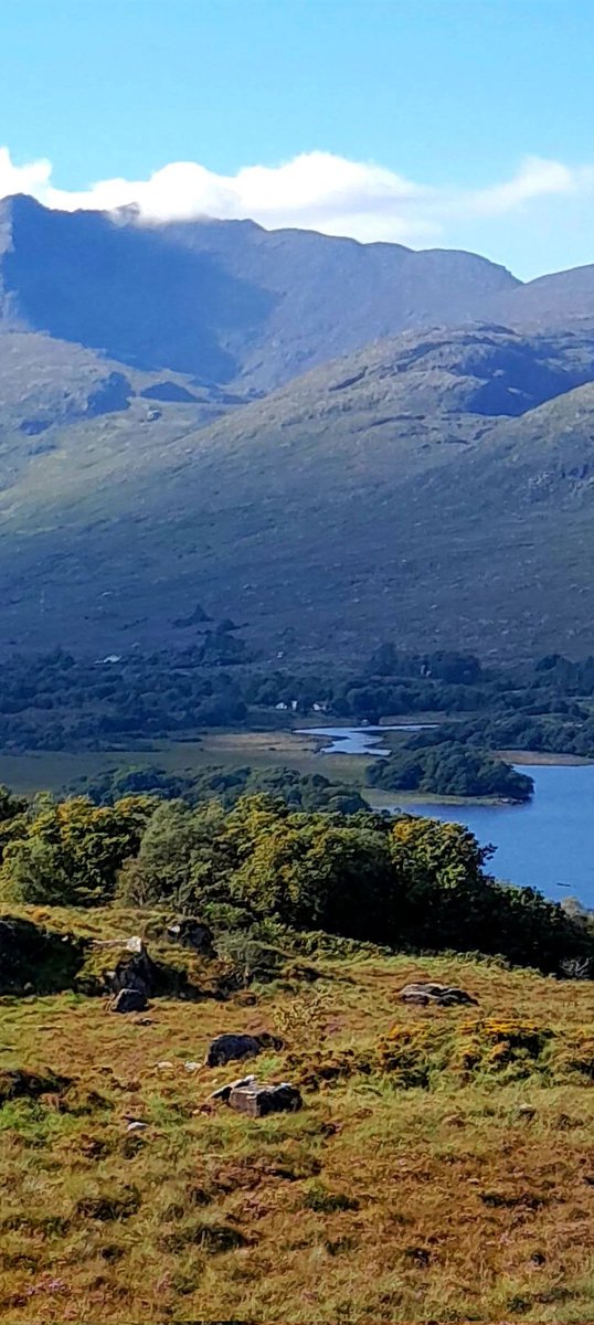 ThisIsIreland3's tweet photo. Beautiful Ladies View, in all her glory ๐๏ธ๐
(Tap photo for full effect)
๐ County Kerry, รire ๐ฎ๐ช
๐ธ Mary Smullen
#Kerry #Ireland #Ladiesview #Wildatlanticway #Landscapes https://t.co/nX4e1WpVY8