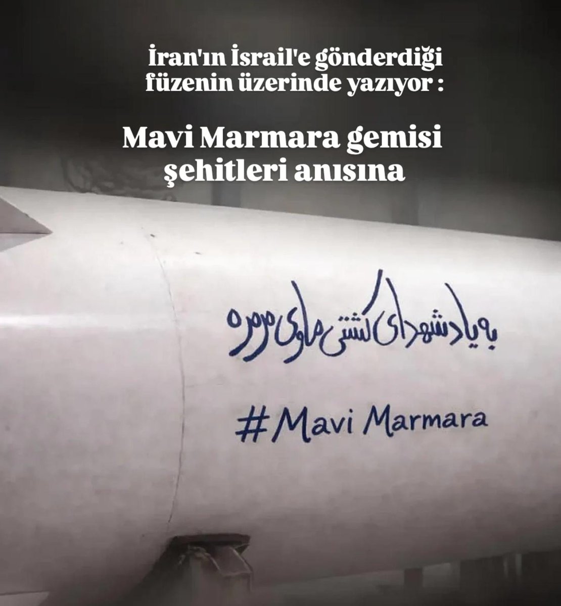 Seğbetullah Naser tweet media