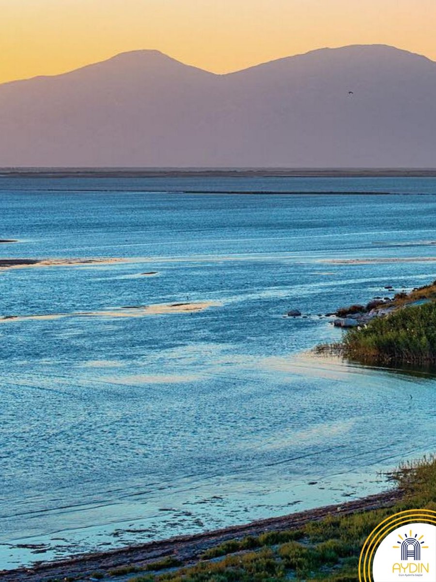 Visit Aydın tweet media