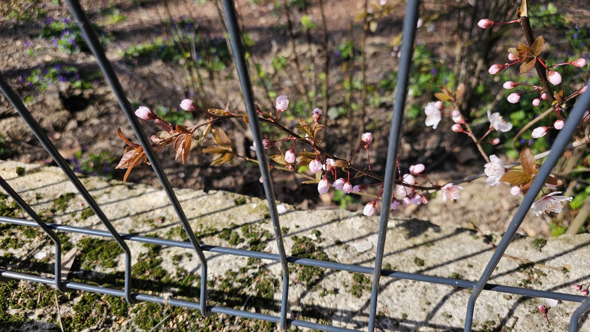 banantunder tweet media