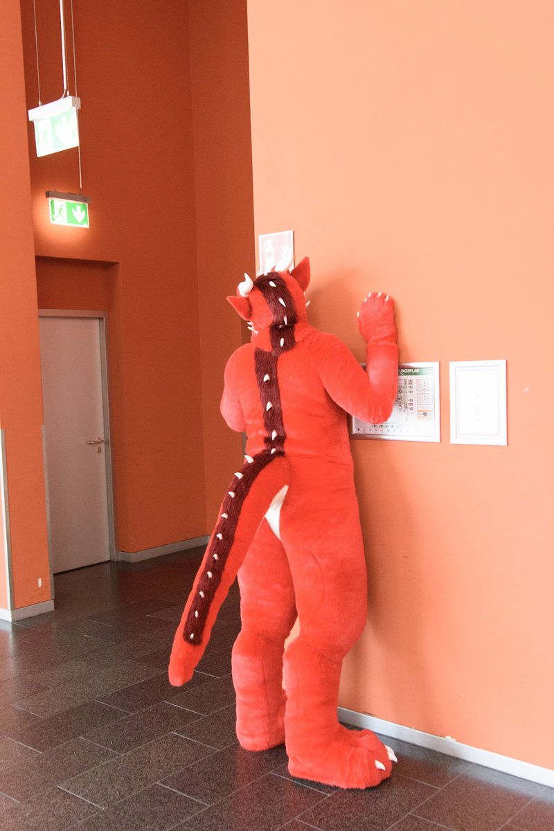 Freunde auf 2 Pfoten e. V. tweet media