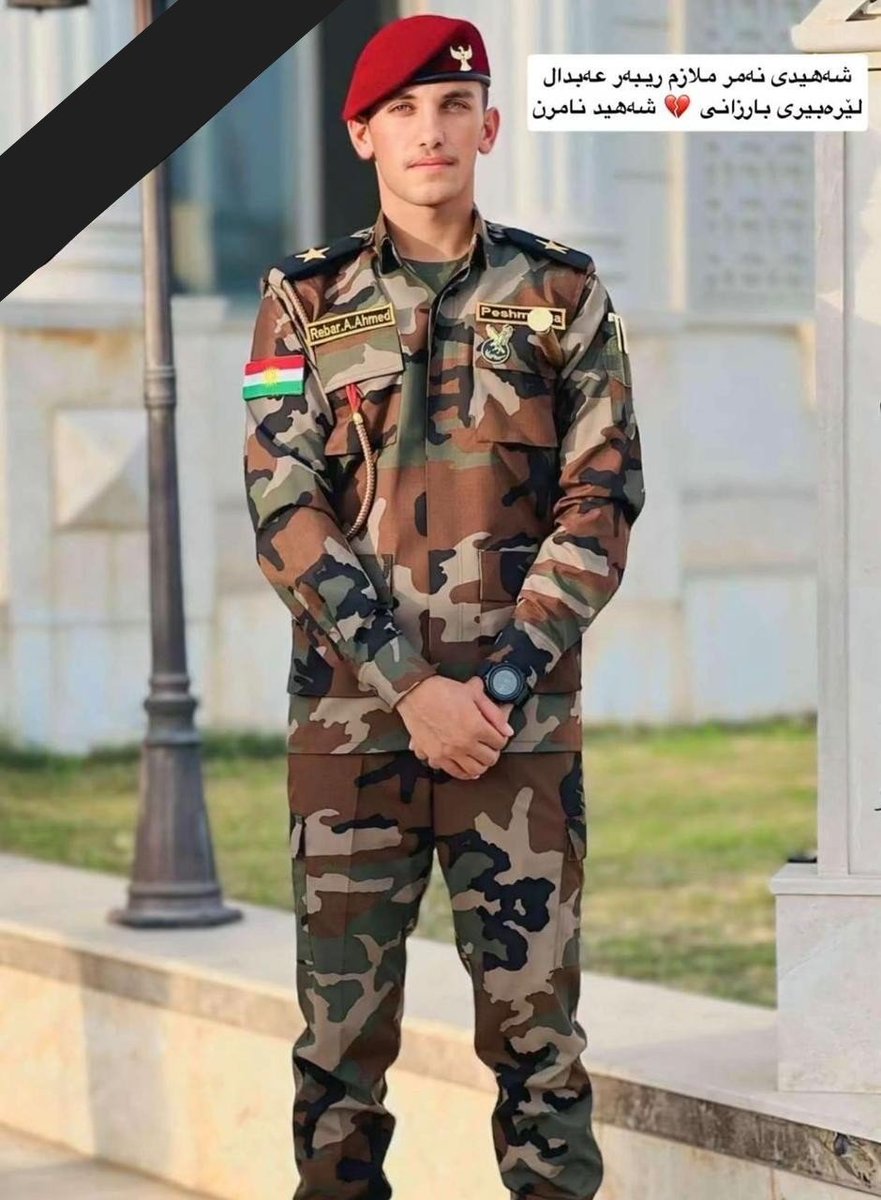 مجتهد كوردستان✹ tweet media