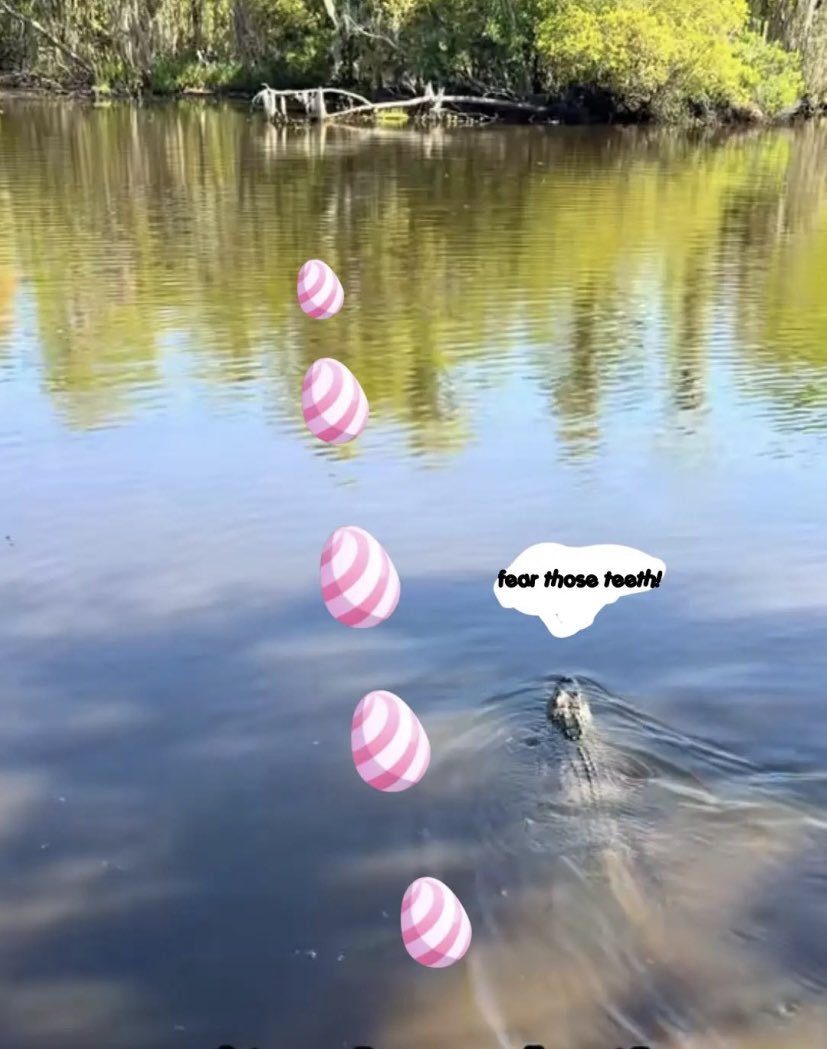 Lxndo ⭐️🛸 tweet media