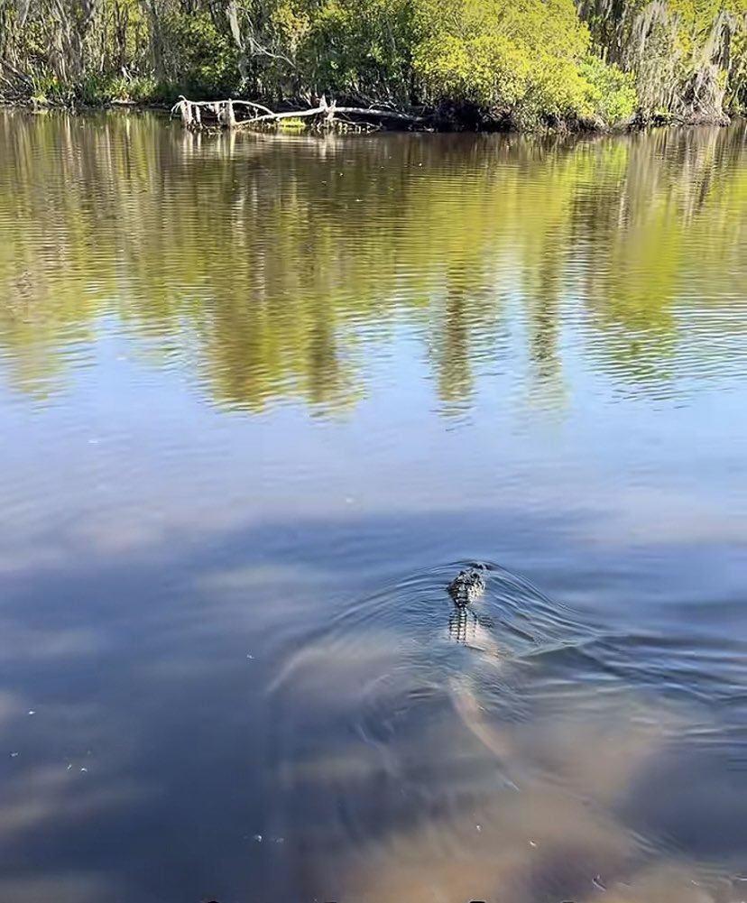 Lxndo ⭐️🛸 tweet media