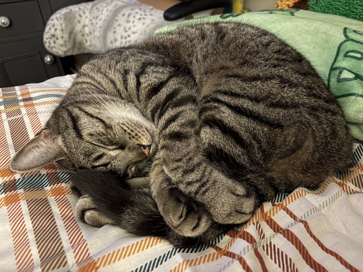 James, Willoughby, Oliver tweet media