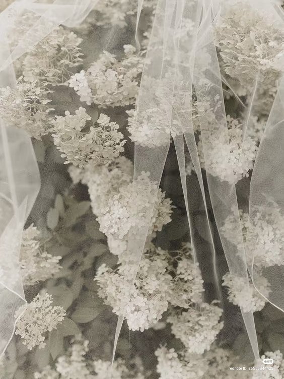 Julleth, as always... (***)777 tweet media