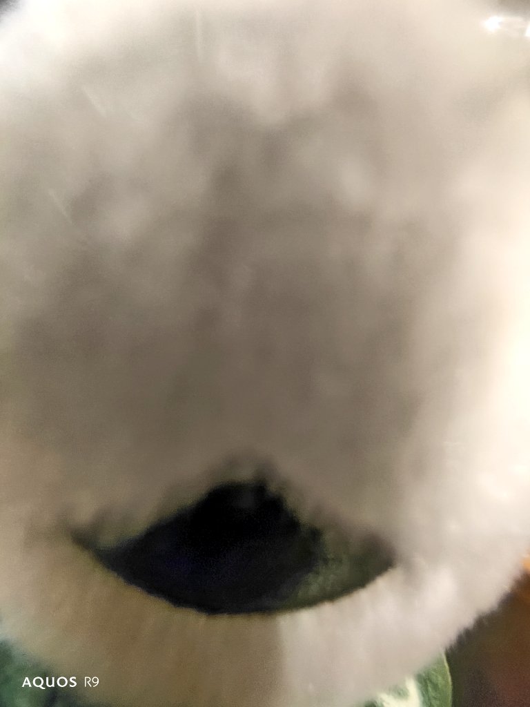 かわさきみどり tweet media