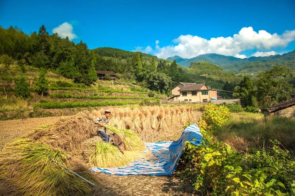 jake marti tweet media