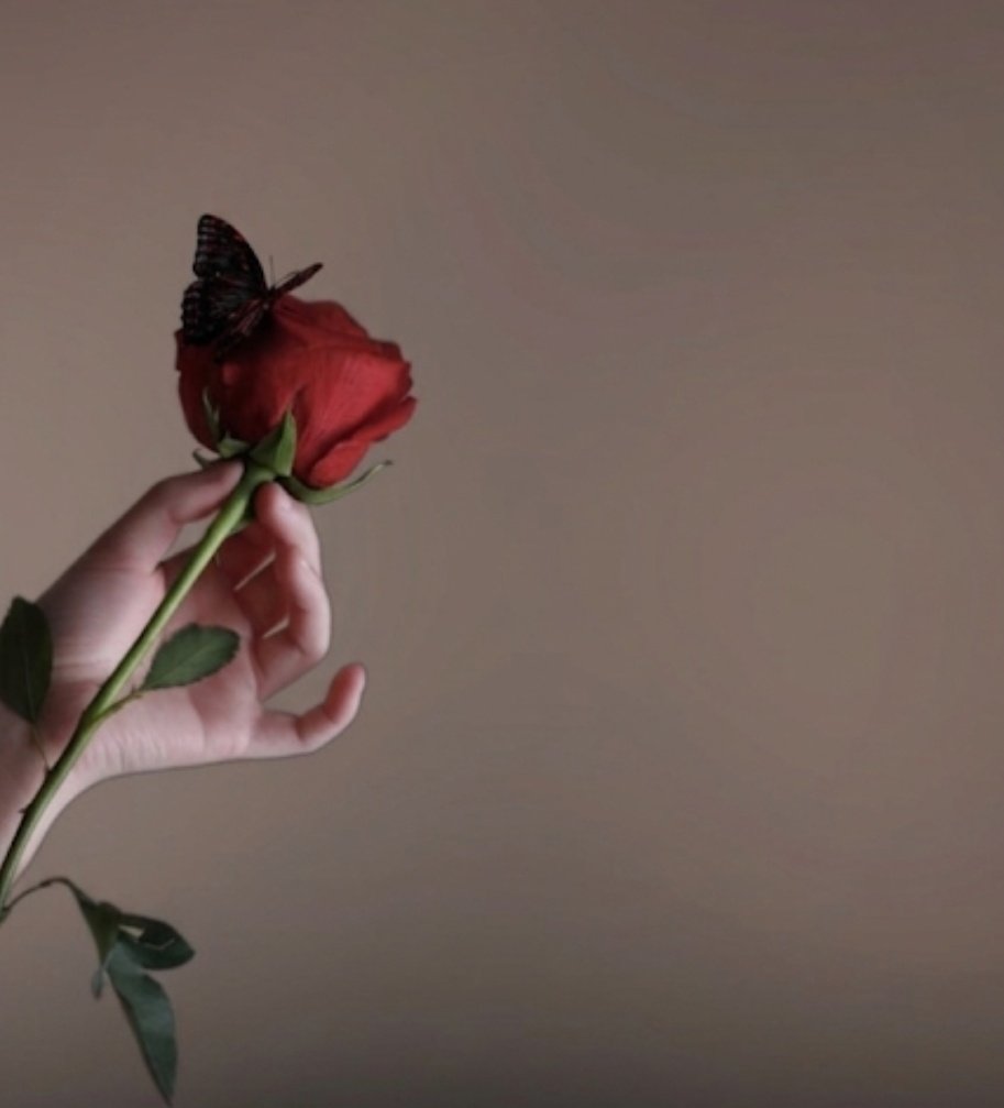 𝐊𝐞𝐯𝐬𝐞𝐫 tweet media