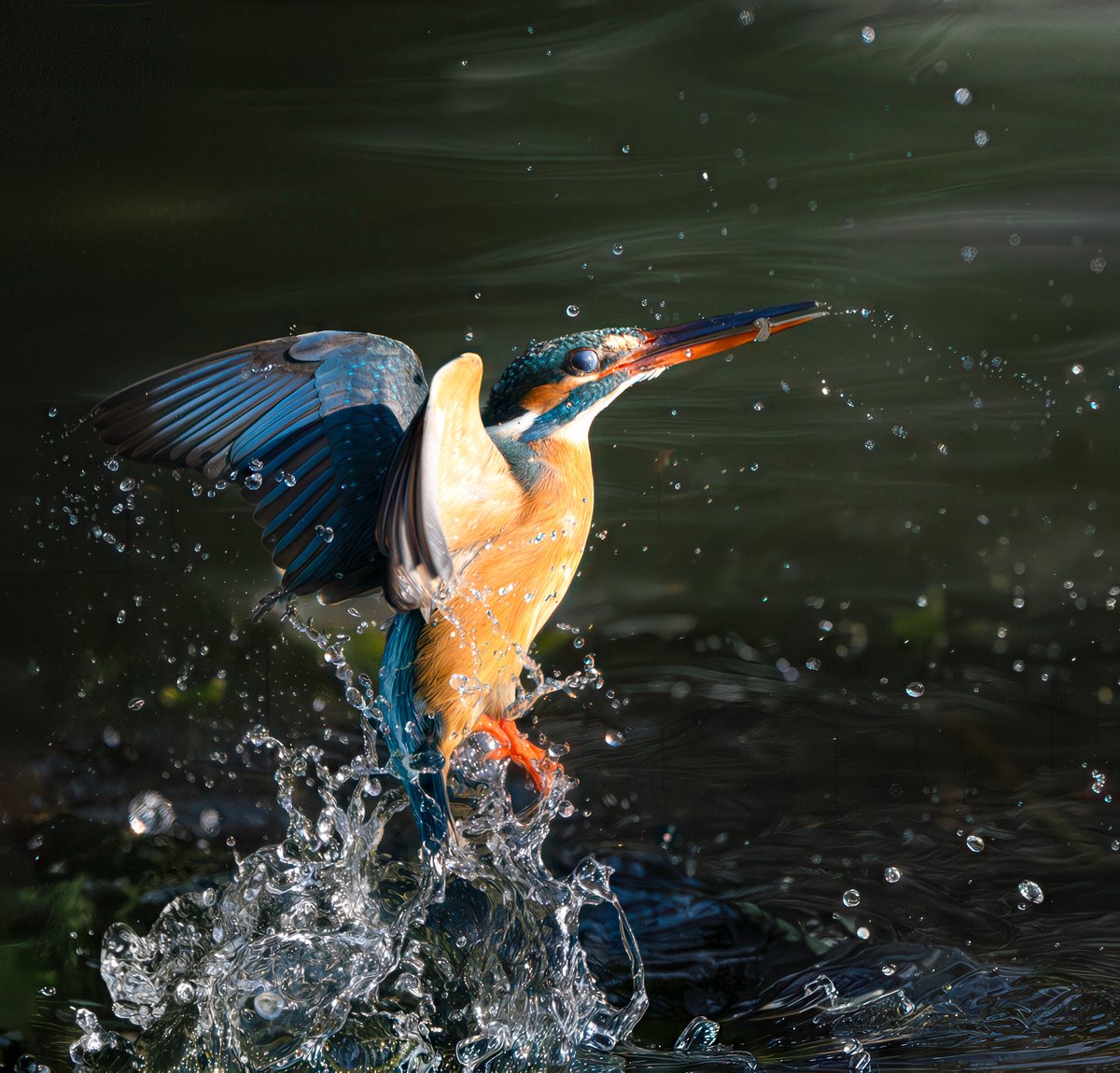 KayのPhotoBook tweet media