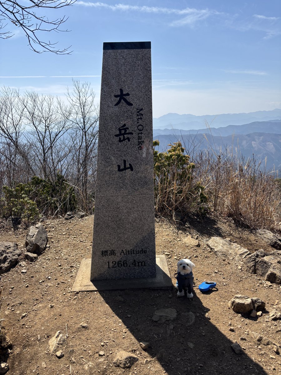 もじゅ tweet media