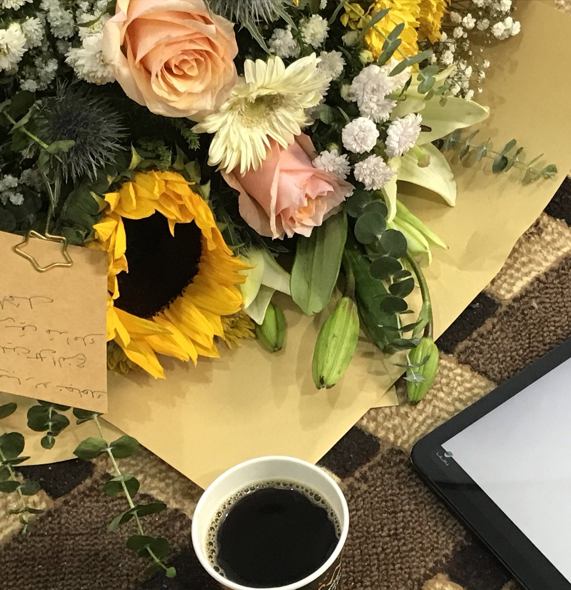 جيكي مع قوطية ديو tweet media