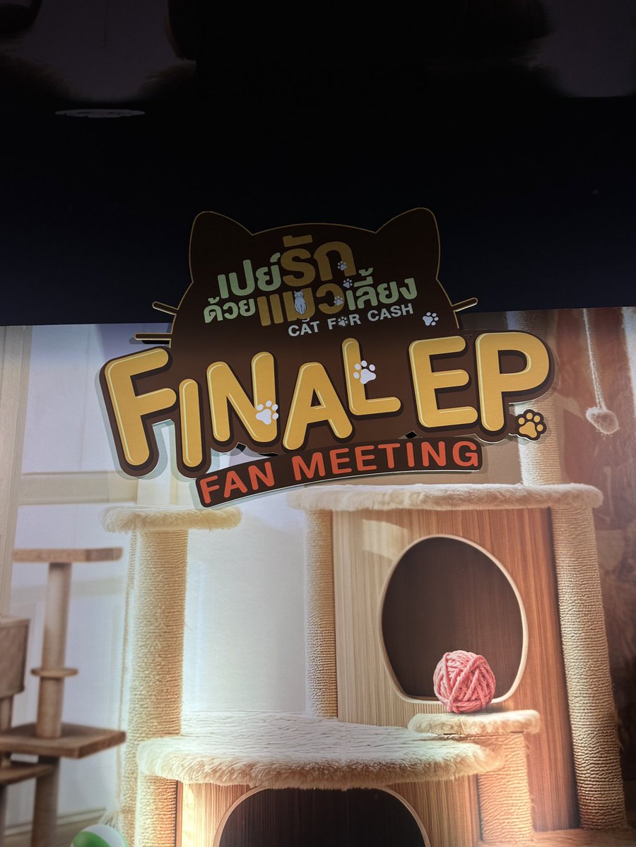 เปย์รักด้วยแมวเลี้ยง Cat For Cash 🐱 tweet media