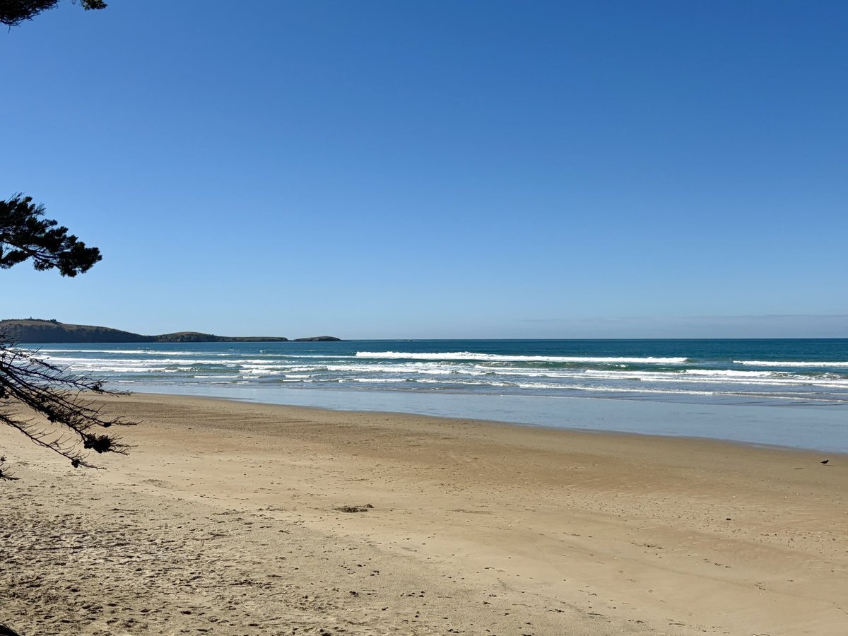 Judith Zoltán tweet media