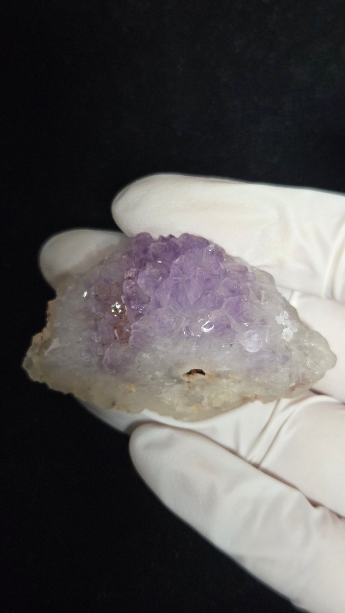 파챙이 tweet media