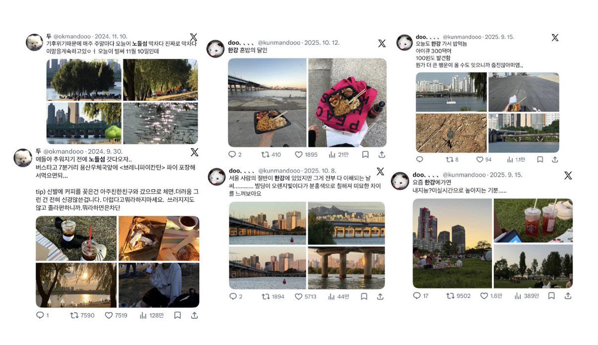 doo、、、、 tweet media