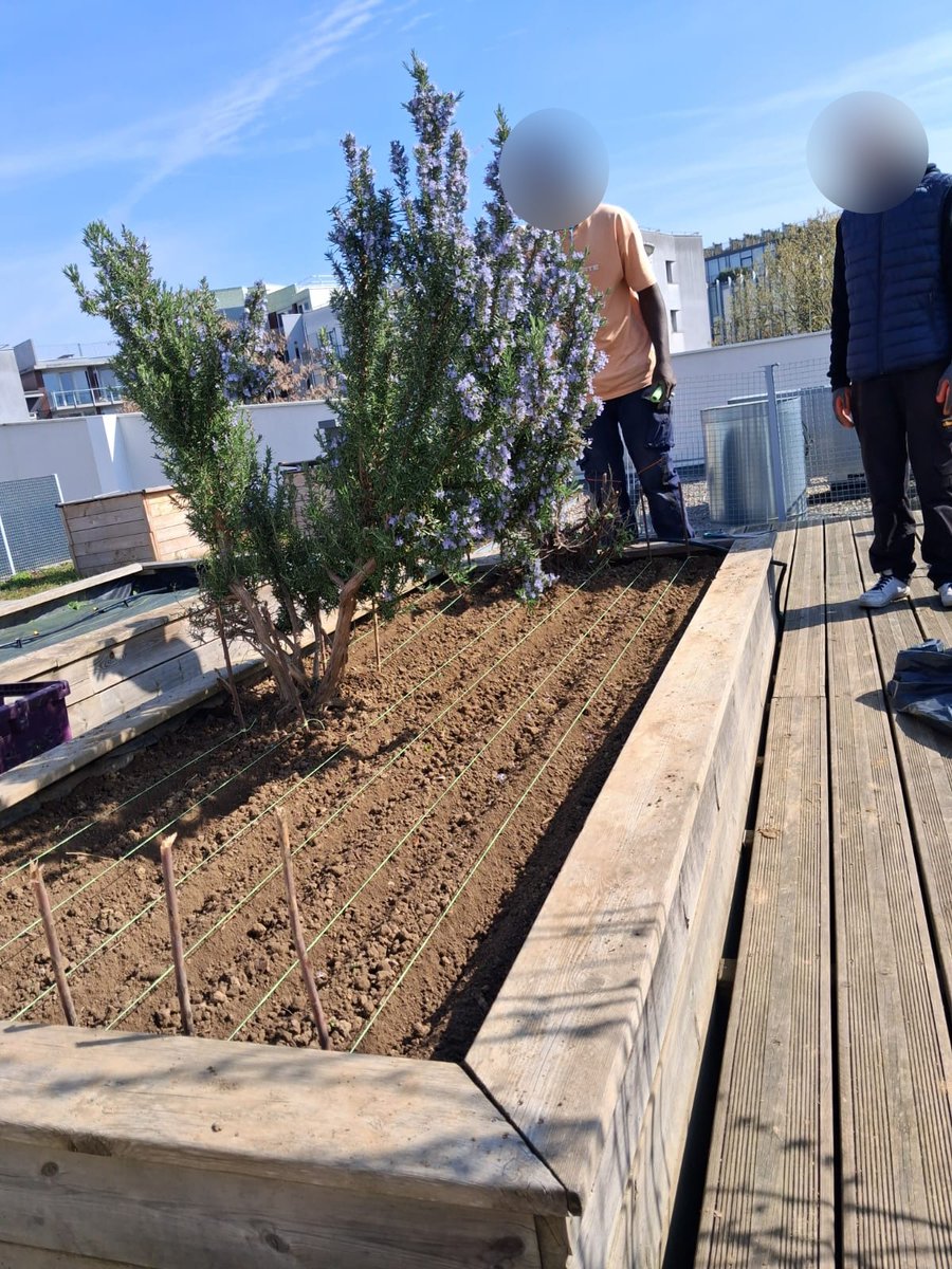 Association Action et Transition tweet media