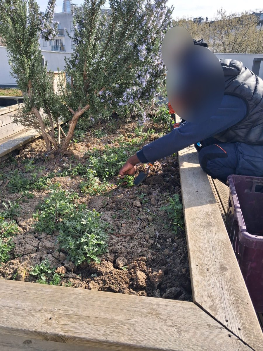 Association Action et Transition tweet media