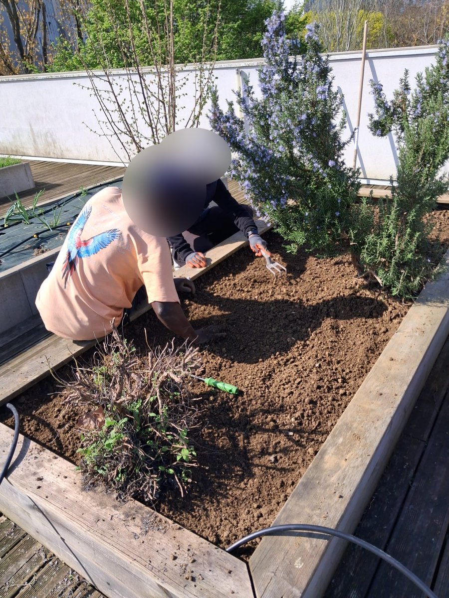 Association Action et Transition tweet media