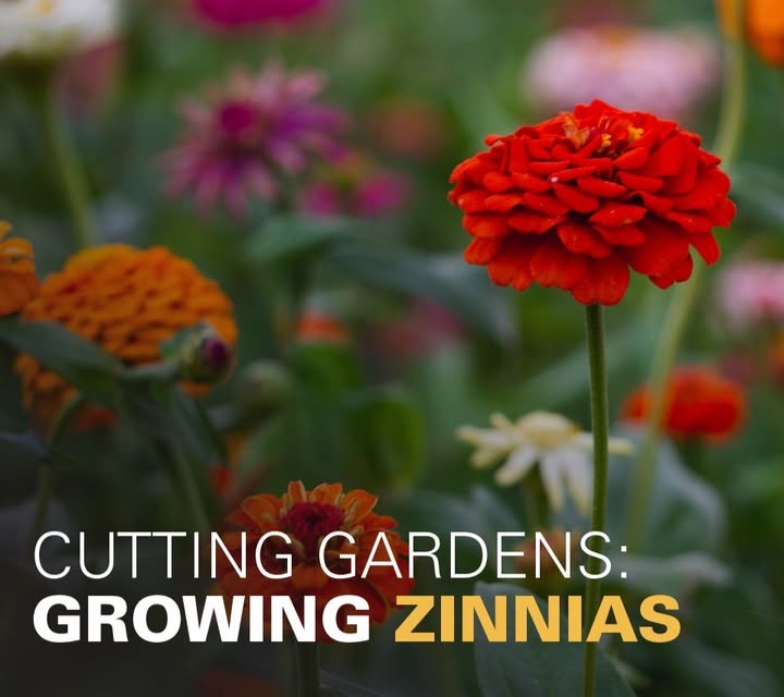 ISU Extension Store tweet media