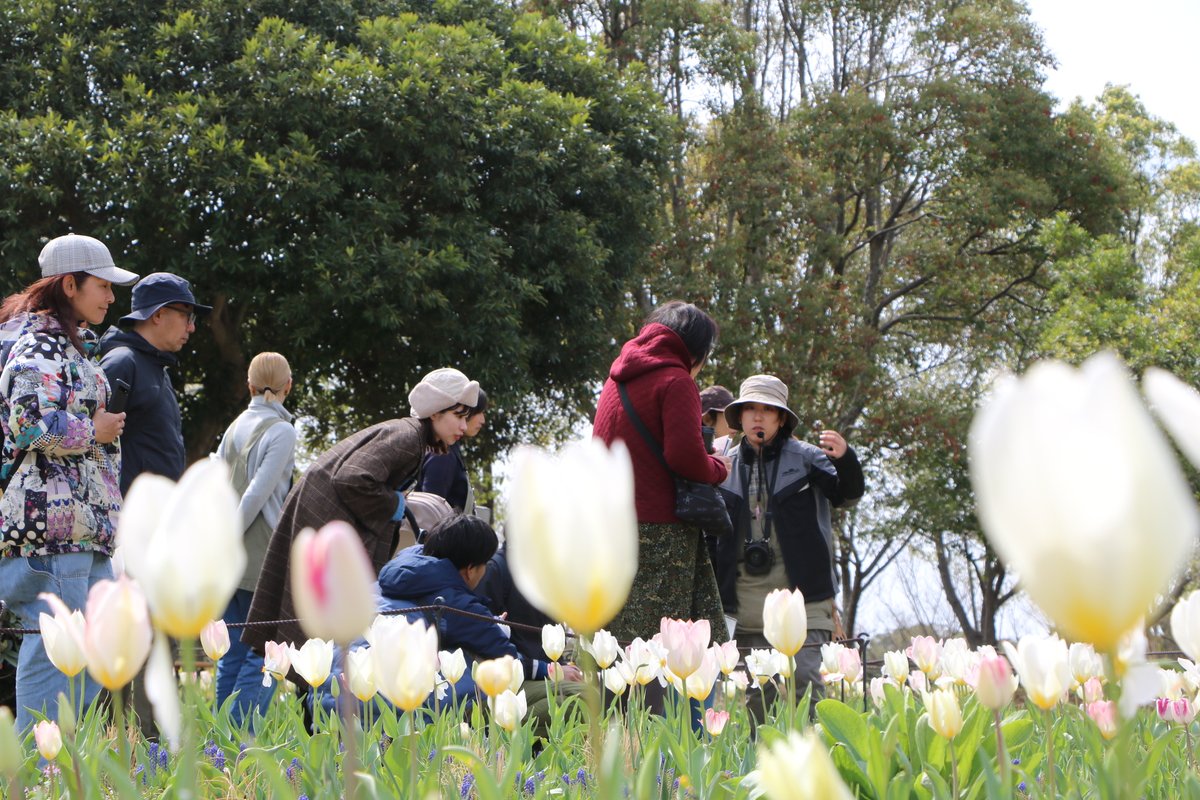 海の中道海浜公園 tweet media
