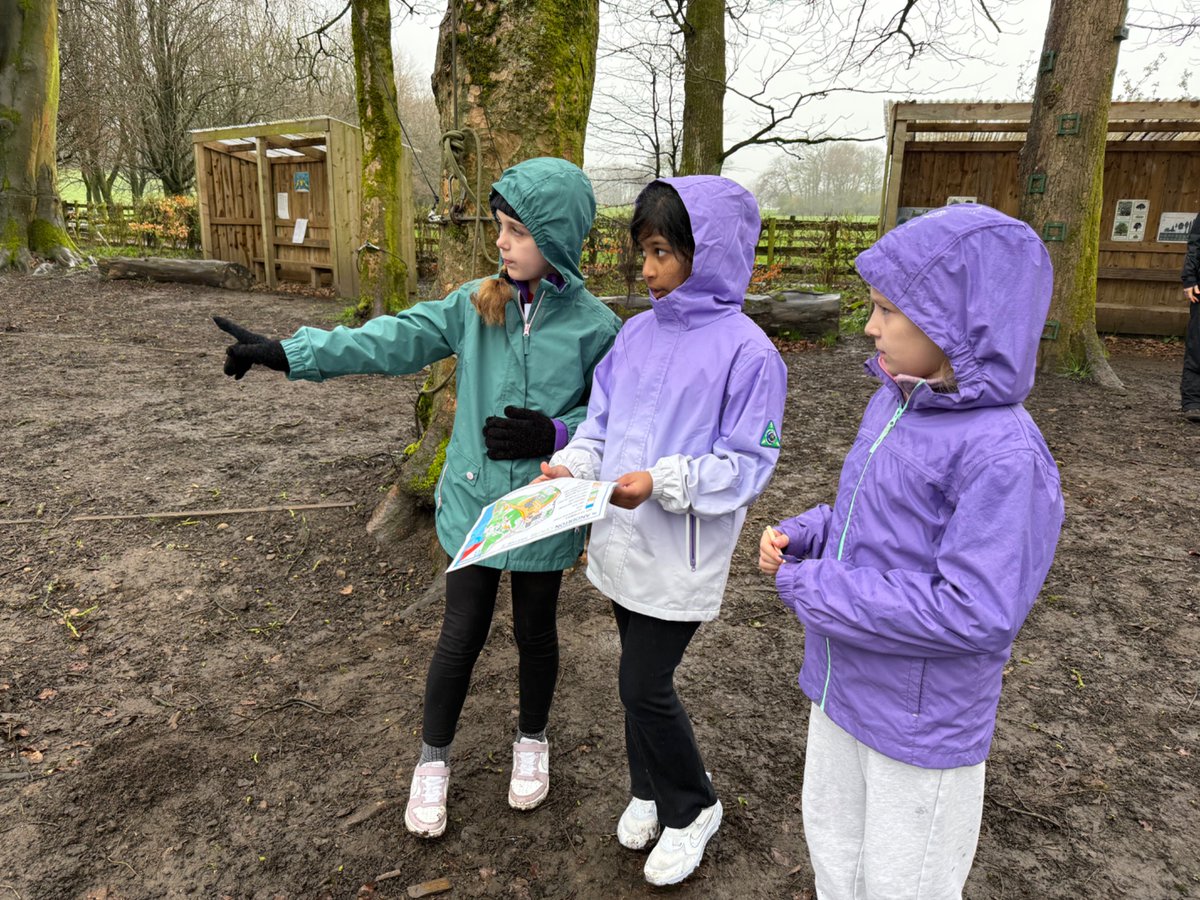 The Gates Primary - Doves Class Page tweet media