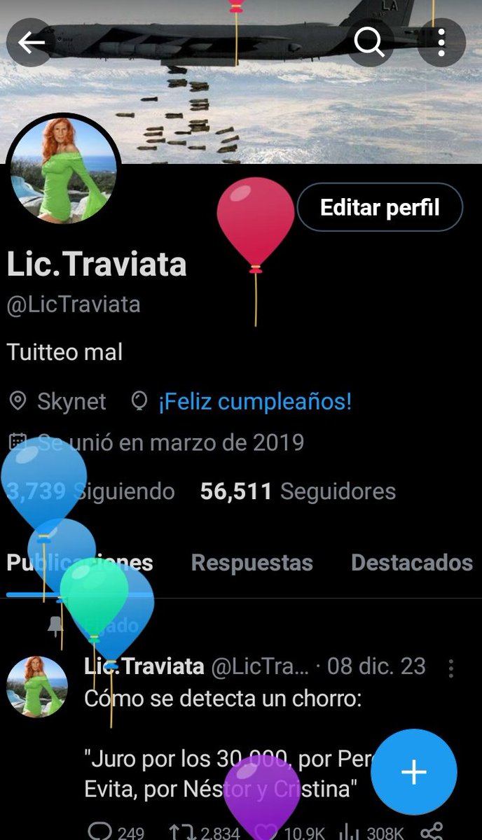 Lic.Traviata tweet media