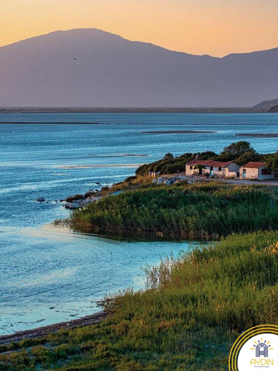 Visit Aydın tweet media