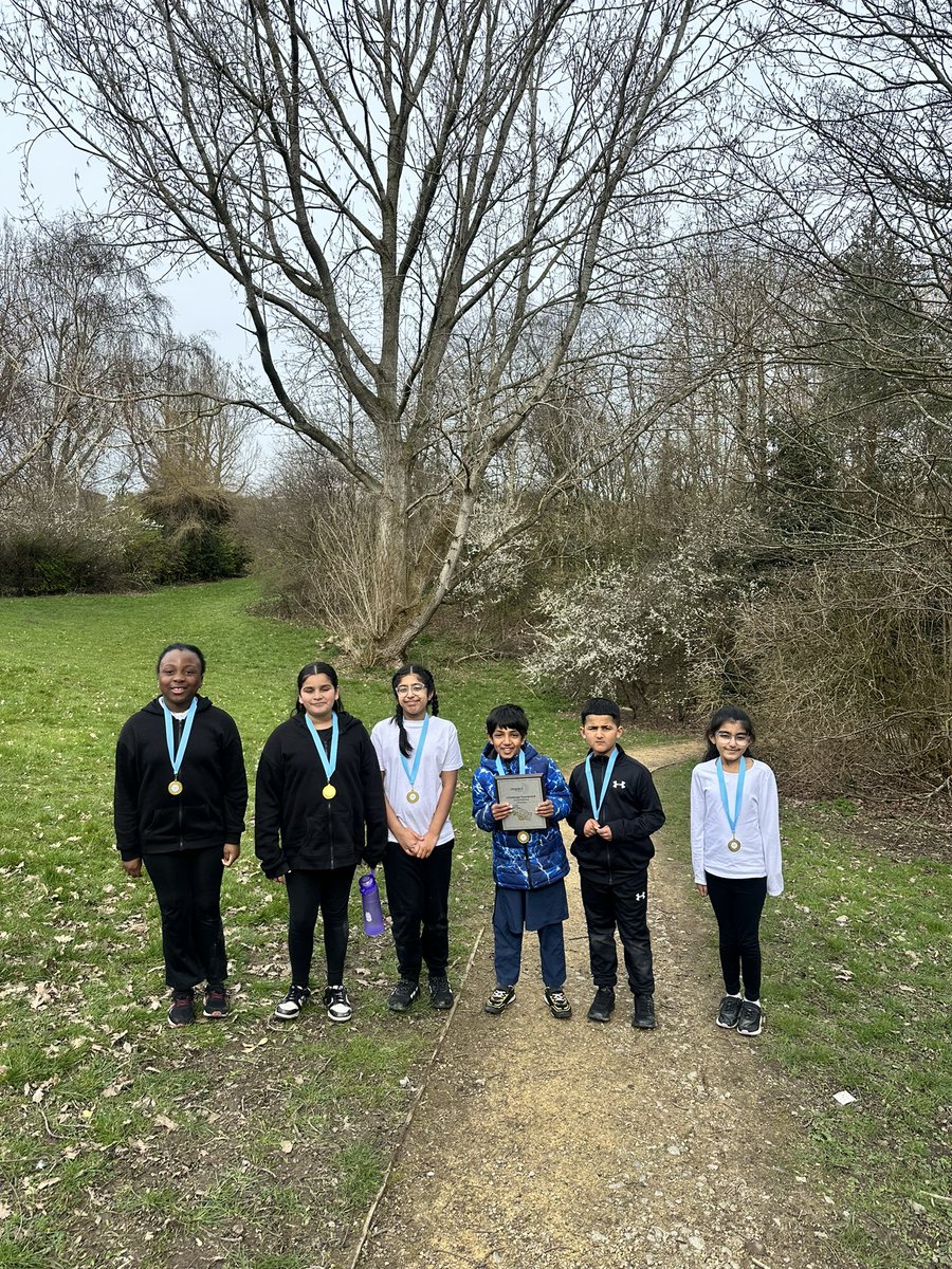 Impact Education MAT tweet media