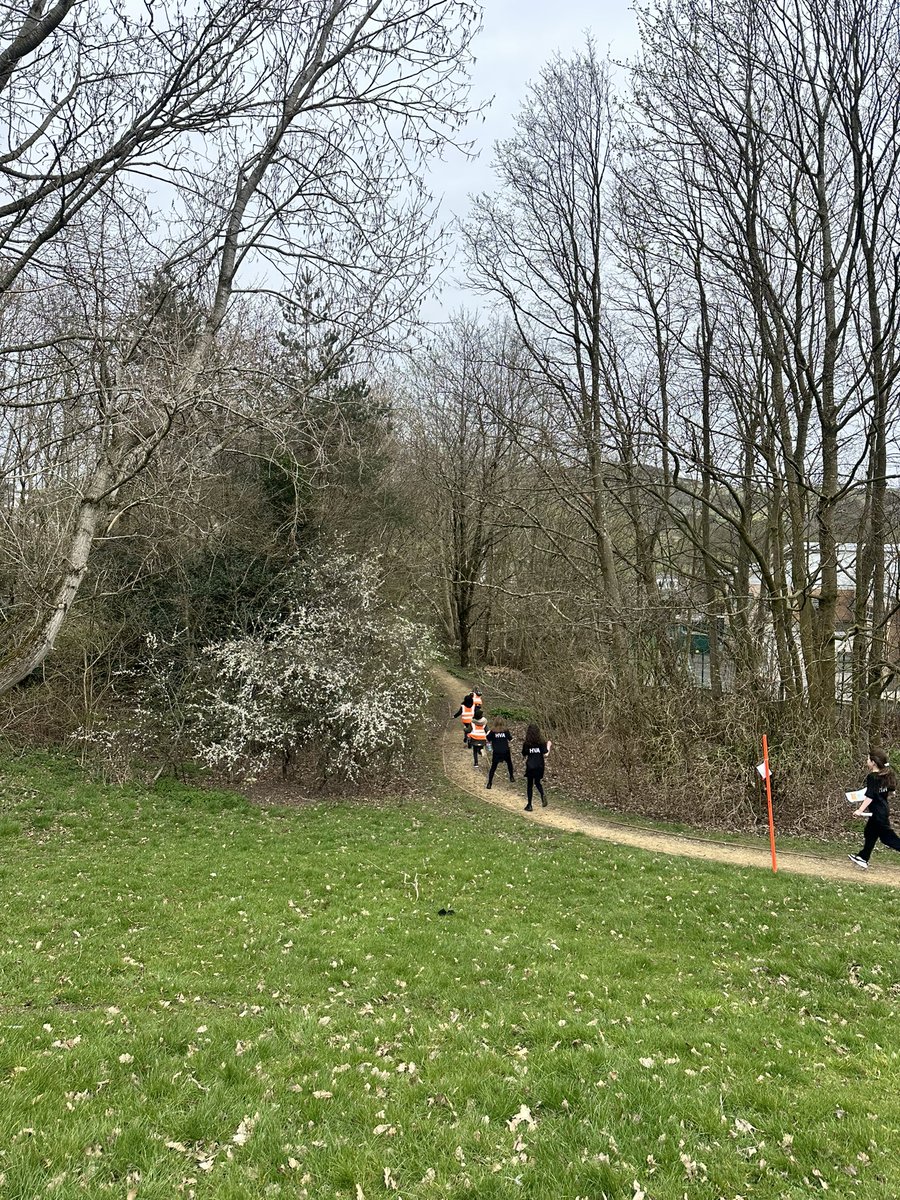 Impact Education MAT tweet media