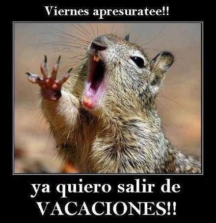 D e y s i Duck 💋 tweet media