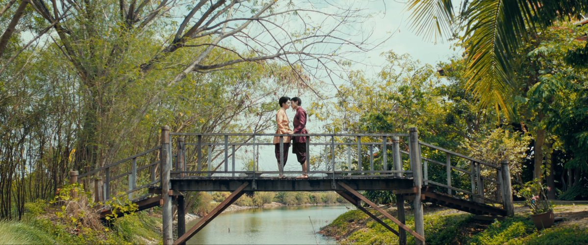 fortunately, it’s LUAT era 🪷✨ tweet media