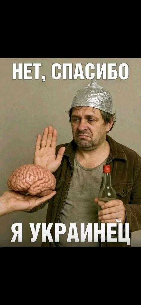 alba33Russi tweet media