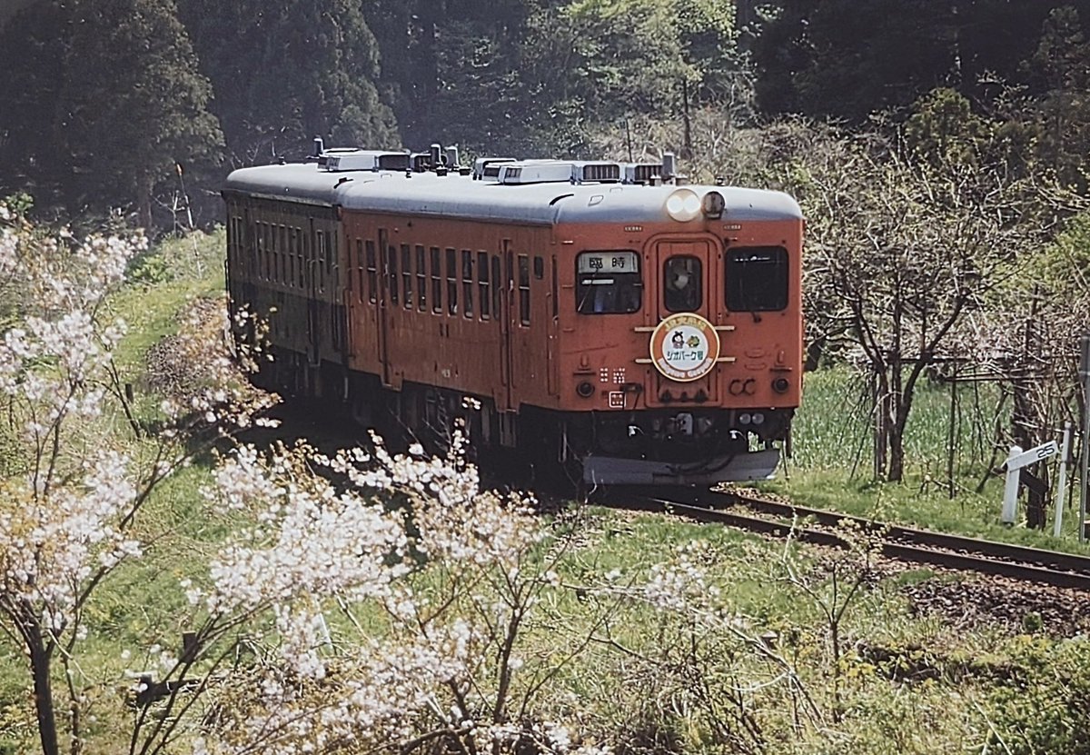 Mz12JLrPFtGkYb1's tweet photo. 大糸線 （桜🌸とキハ52）
2010年春
懐かし写真が出てきました。
#大糸線 https://t.co/pe6pLDHmBt