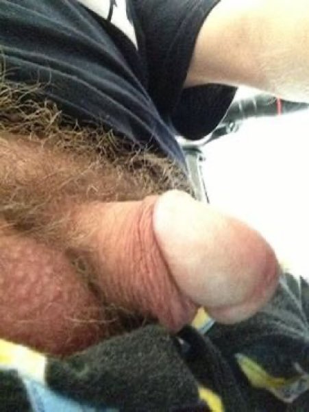 SISSY-EXPOSURE tweet media