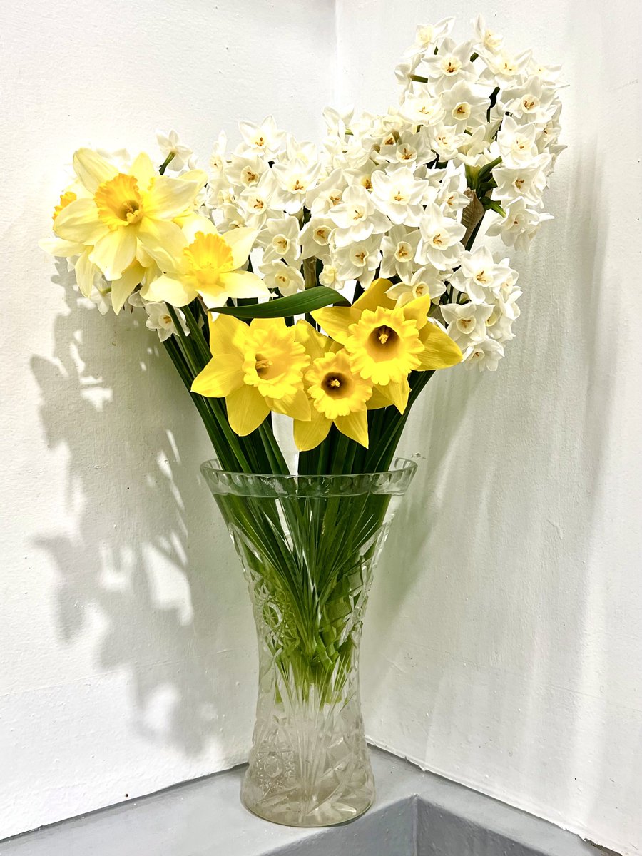 東京スプリング工業株式会社 tweet media