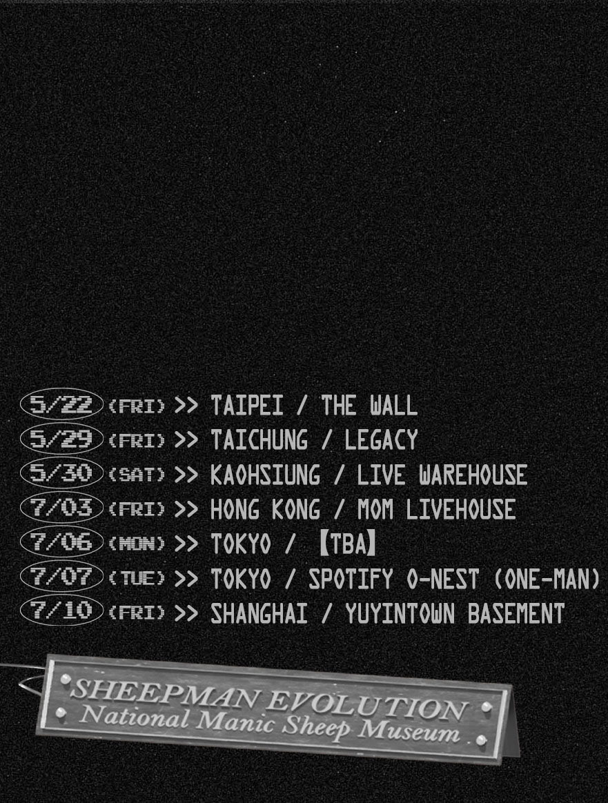 Manic Sheep tweet media