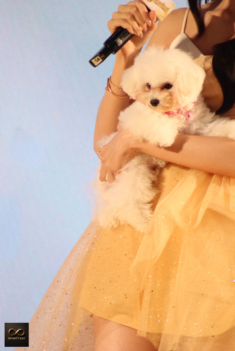 INFINITY ENT tweet media