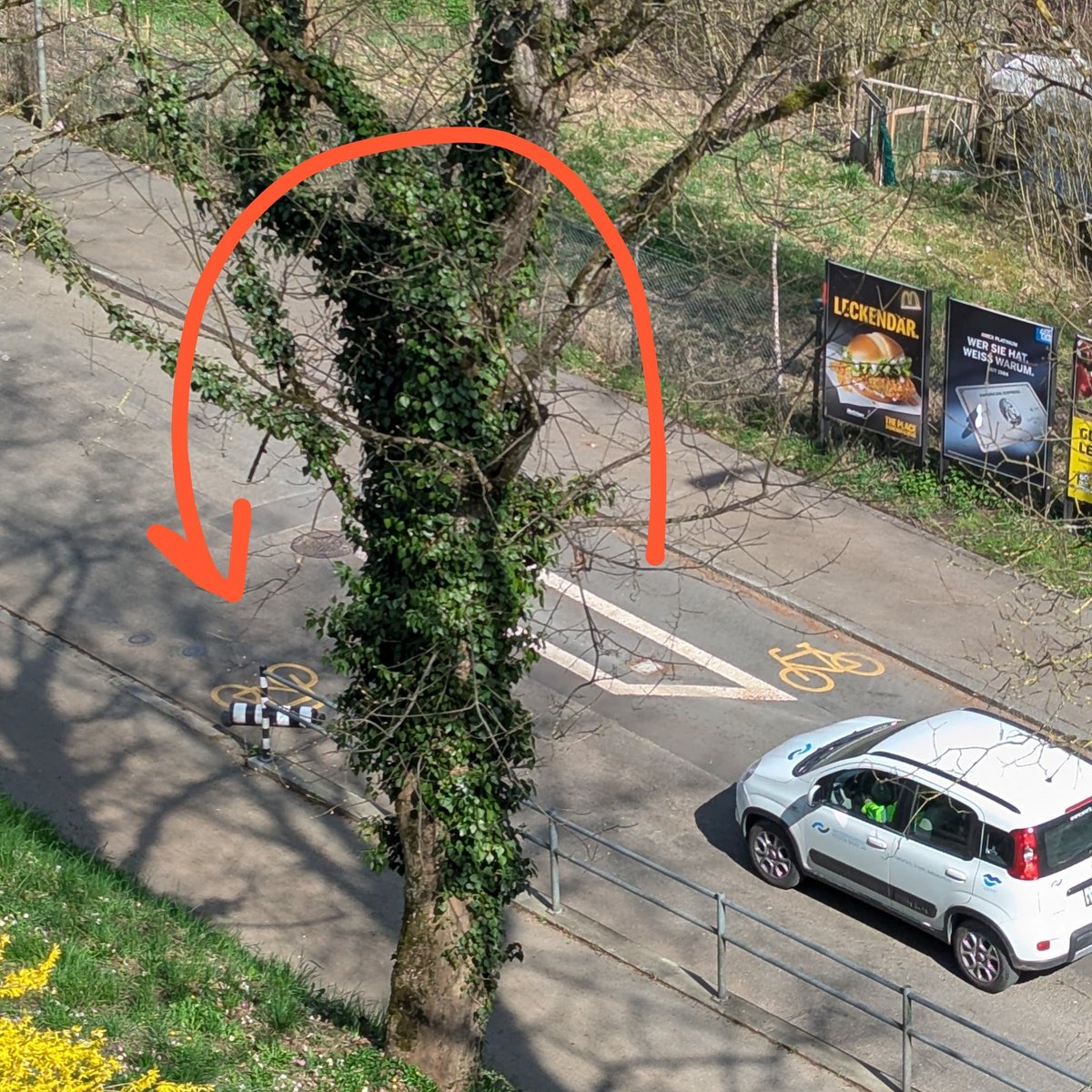 Basil Anderau tweet media