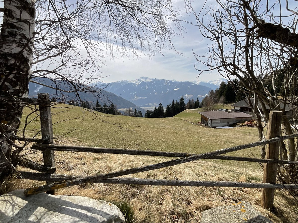 Korina Graf tweet media