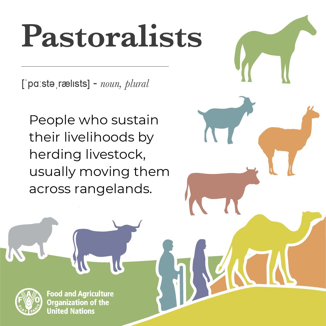 Food and Agriculture Organization tweet media