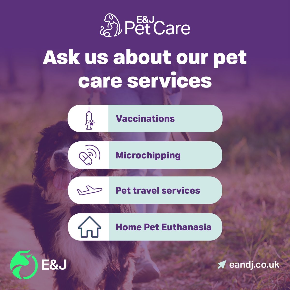 We provide veterinary care for small animals, including vaccinations, microchipping and pet travel certificates. 

Head to our website and book with us today: eandj.co.uk/ejpetcare/

#SmallAnimalClinics #PetCare