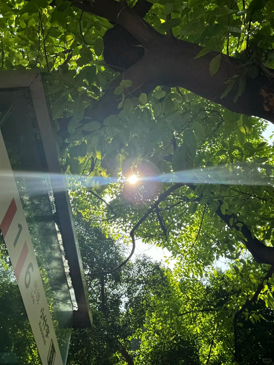 神之刃（互关 tweet media