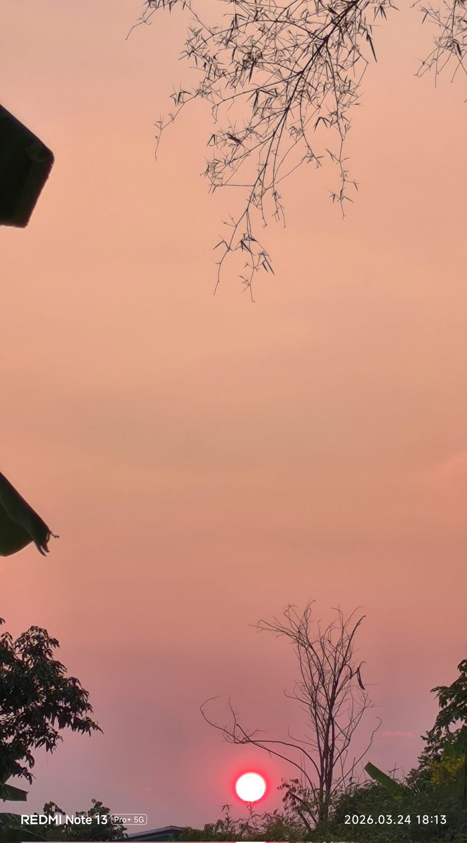 Beeboiibee765 tweet media